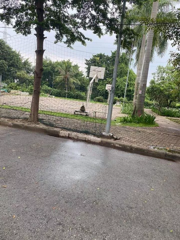 CHUYỂN CHỖ Ở CẦN BÁN NHÀ PHỐ VƯỜN TRONG KHU DÂN CƯ EHOME 4, VĨNH PHÚ, BÌNH DƯƠNG