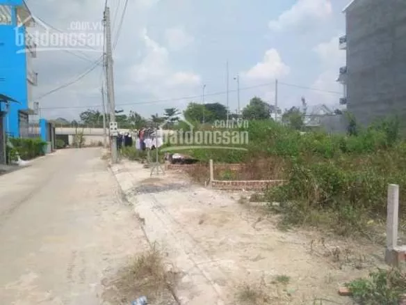 Bán Đất Ngay Mặt Tiền Chân Cầu Phú Long