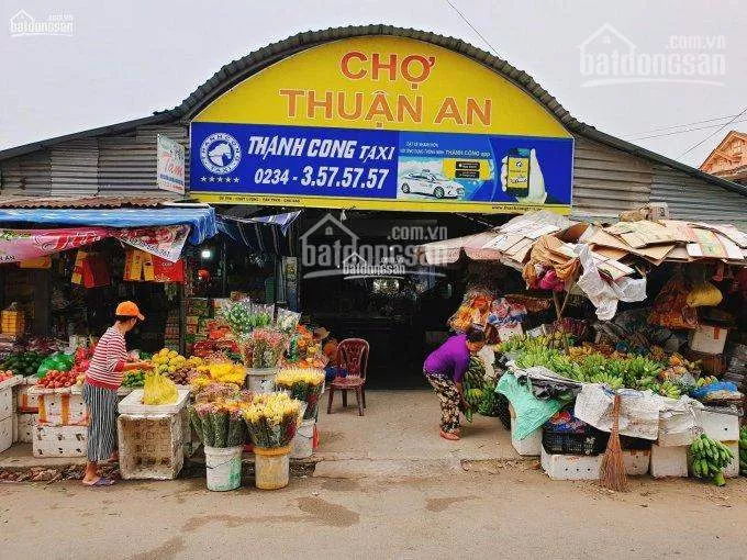 Bán Đất Đường Phan Thanh Giản, Lái Thiêu, SHR