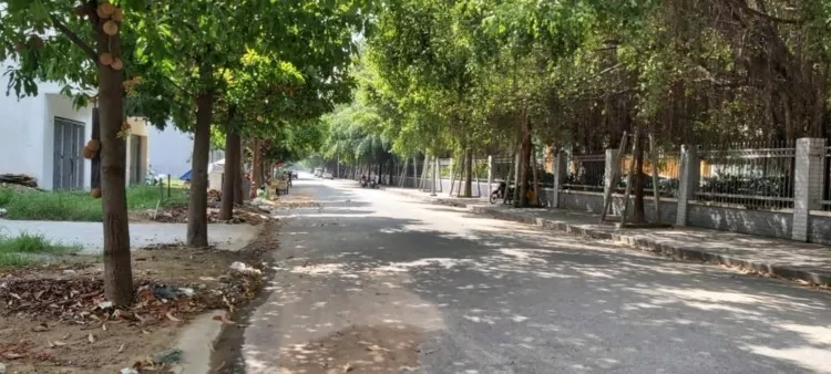 Bán nhà mặt tiền đối diện bệnh viện Quốc Tế Becamex, khu đô thị The Seasons Lái Thiêu