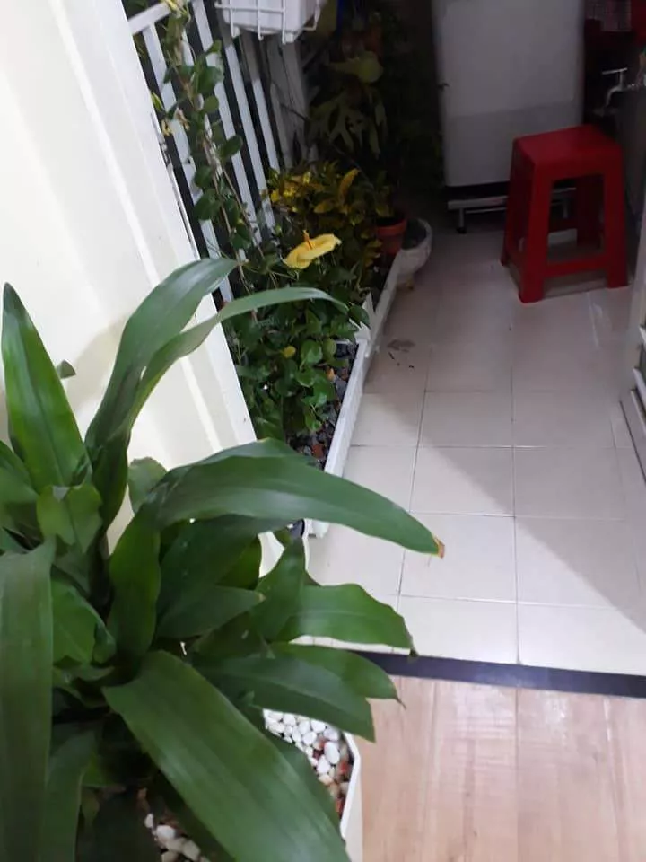 Bán Căn Hộ Ehome 4, Lầu Cao, Block Mới,