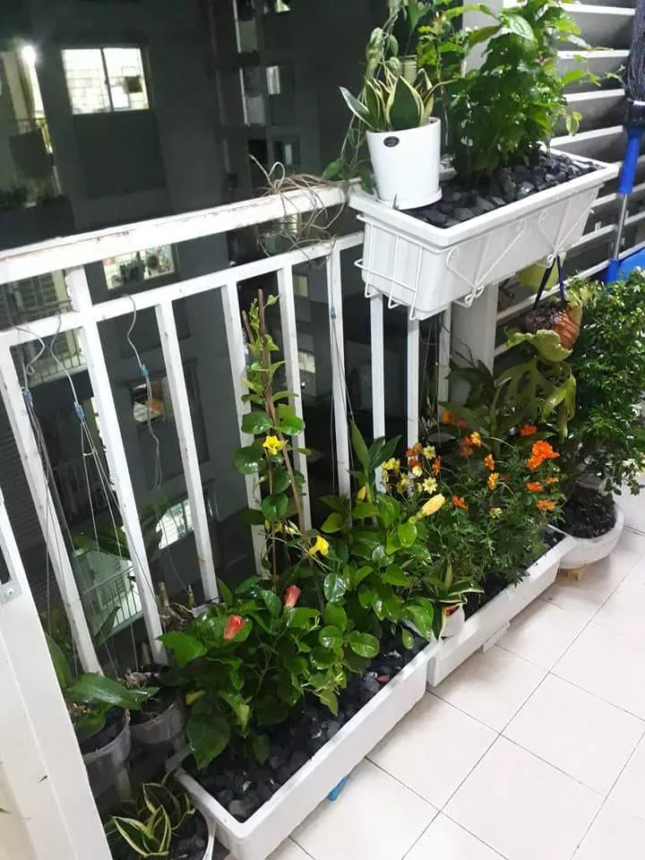 Bán Căn Hộ Ehome 4, Lầu Cao, Block Mới,