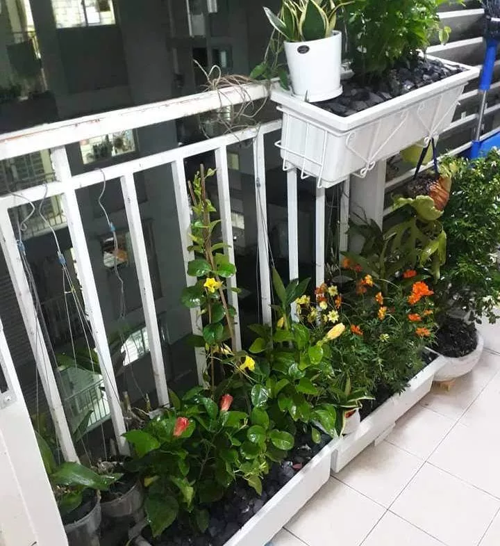 Bán Căn Hộ Ehome 4, Lầu Cao, Block Mới,