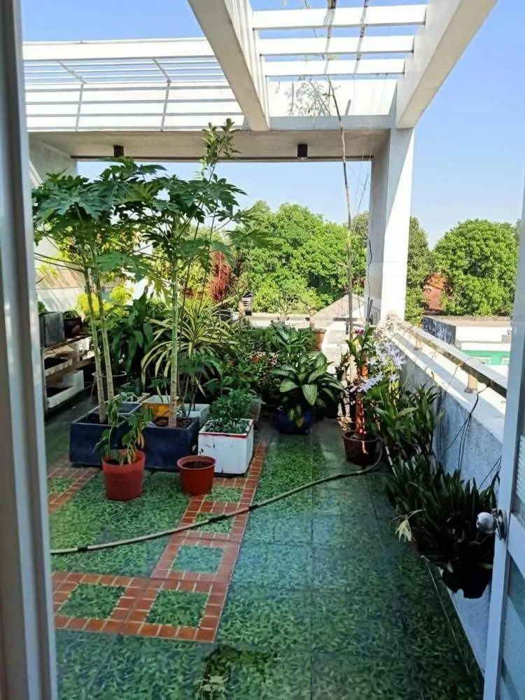 z1980266418504_393655351a8bf039c4bf13c9d9e18e81 BÁN NHÀ 1 TRỆT 3 LẦU LINH CHIỂU, THỦ ĐỨC
