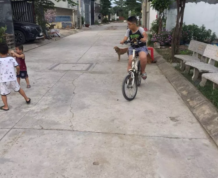 Bán nhà mới xây 1 trệt 2 lầu đúc phường Phú Hữu quận 9