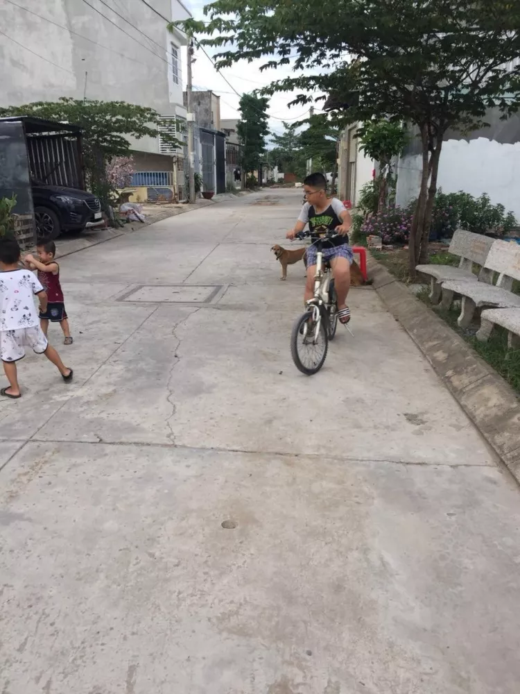 z1982056526554_d53409b7bbb2b0ea74c5b4ed0184e226 Bán nhà mới xây 1 trệt 2 lầu đúc phường Phú Hữu quận 9