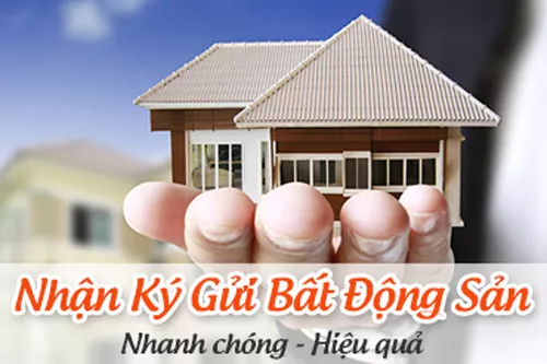 Chuyên Nhận môi giới, ký gửi đất nền, nhà đất tại Quận 9, Thủ Đức.