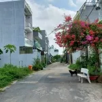 Tính chất
