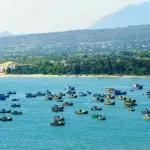 Tính chất