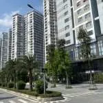 Tính chất