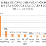 Top 5 tỉnh thành 'hút' vốn FDI trong 5 tháng đầu năm 2022: Hà Nội, Bắc Ninh, Quảng Ninh... đều không lọt danh sách này
