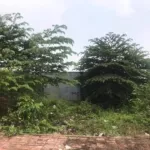 Bán đất đường 23 Nguyễn Xiển quận 9 giá rẻ