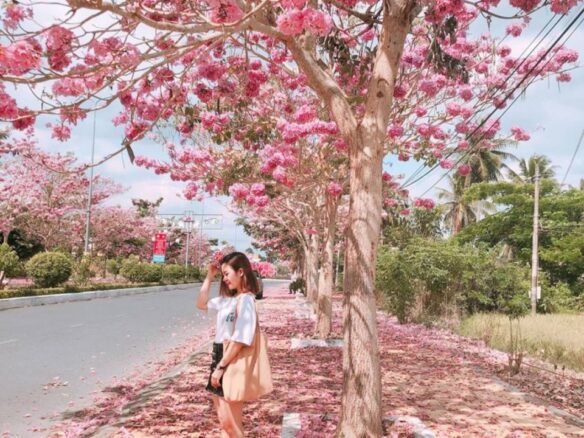 Bán đất vườn view hồ Trị An la Ngà định quán