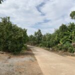 Tính chất