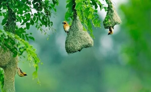 8 điểm du lịch Định Quán – Tân Phú