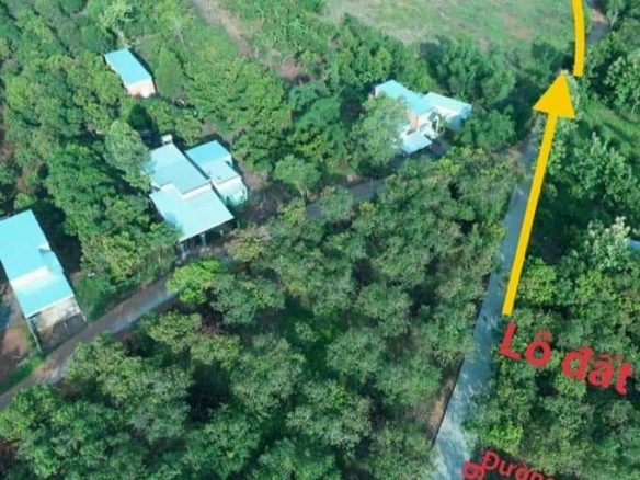 Bán đất vườn xoài view hồ Trị An giá rẻ