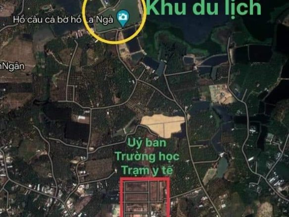 Bán đất vườn xoài La Ngà giá rẻ