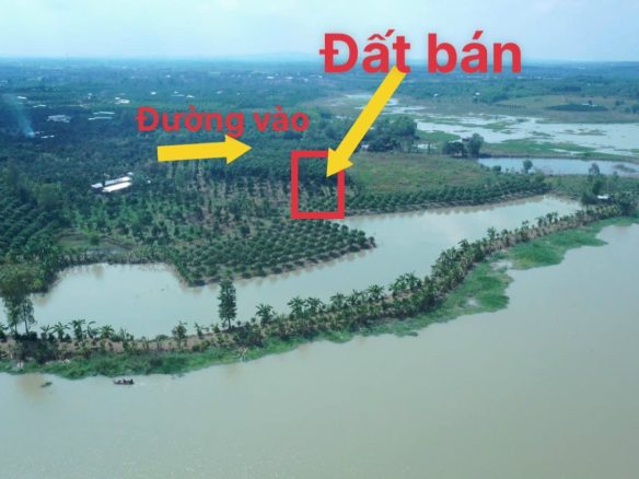 Bán vườn xoài xã suối nho giá rẻ