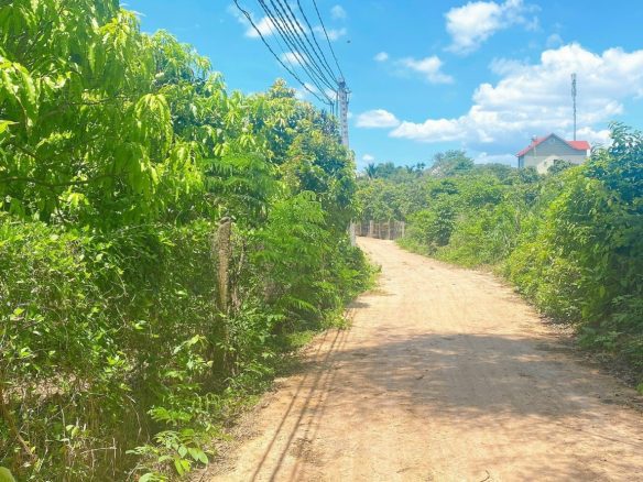 Bán lô đất vườn xoài full hồng ngay la ngà, Định Quán