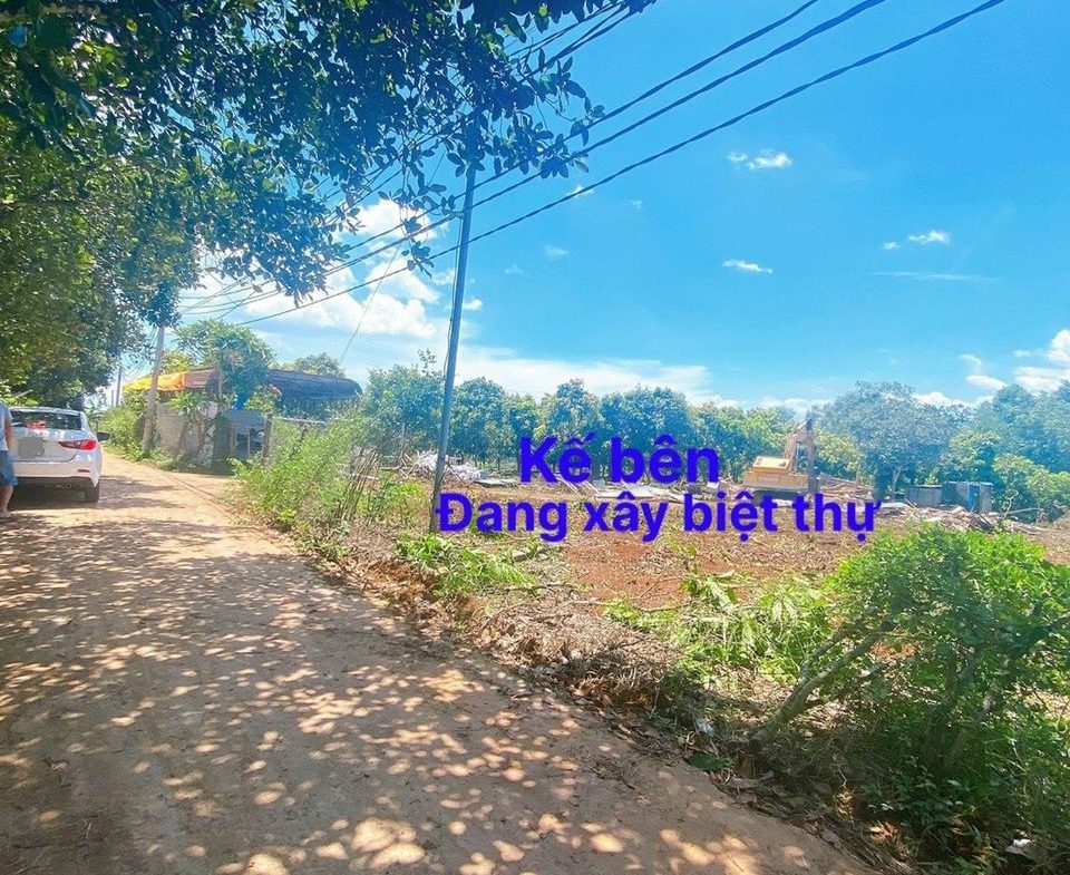 Chủ cần bán lô đất vườn xoài sẵn 100m thổ cư giá tốt