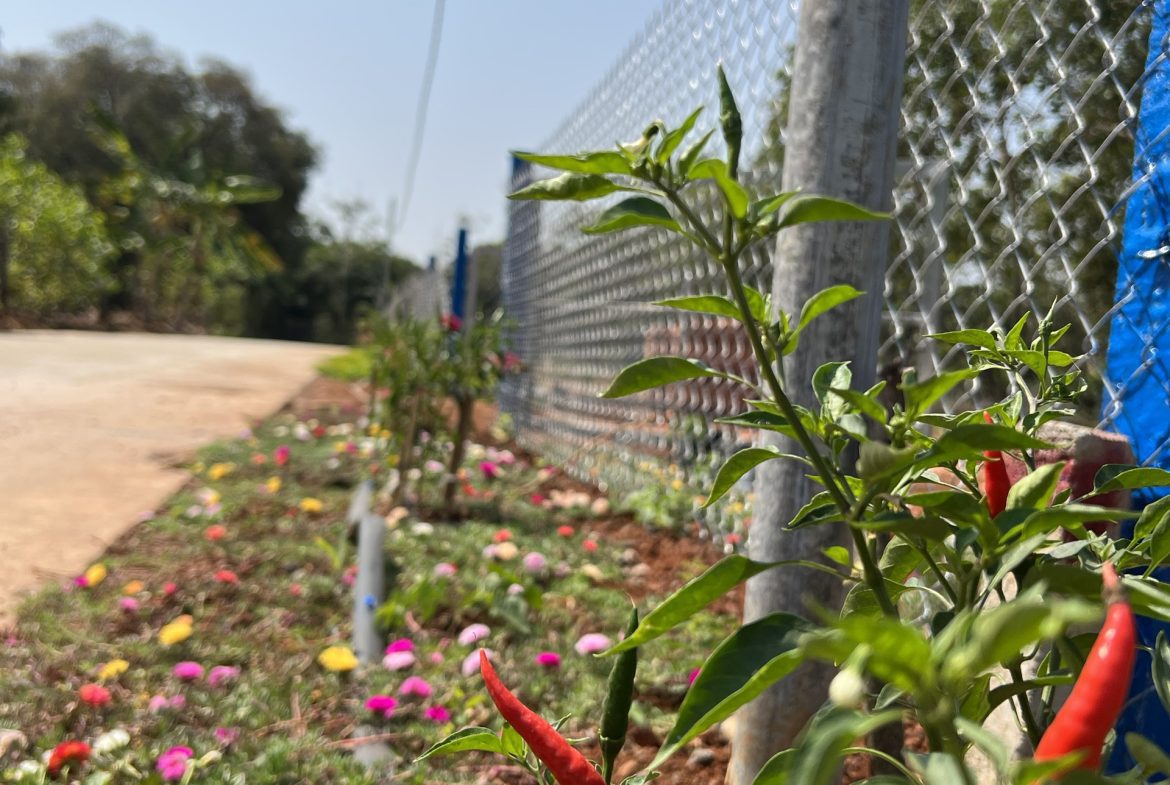 Bán lô đất vườn như hình giá chỉ 1,2 tỷ cách tpHCM chỉ 90km