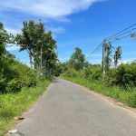 Bán đất vườn đồng nai