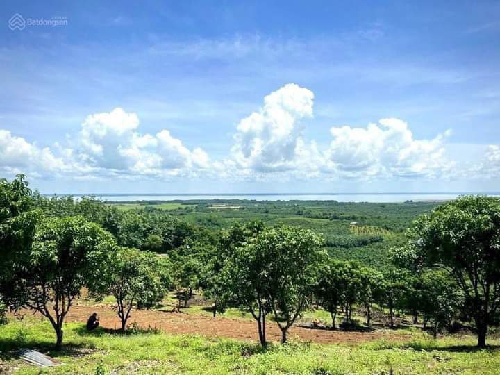 Bán đất vườn La Ngà- Định Quán- Đồng Nai