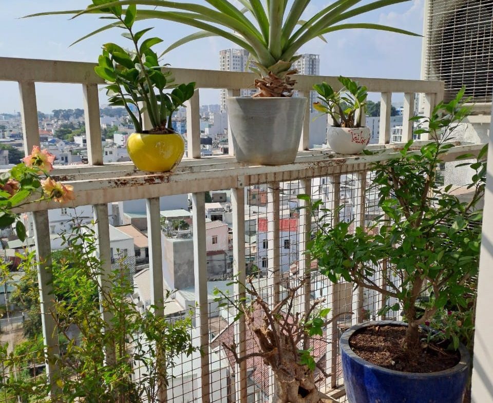 Cho thuê căn hộ TDH Trường Thọ, Thủ Đức full nội thất đẹp