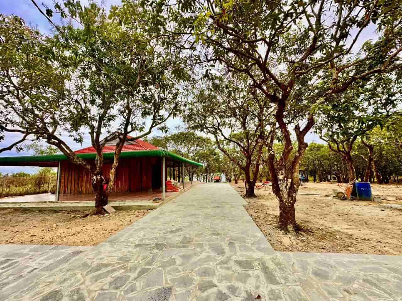 Bán nhà vườn ngay La Ngà Định Quán