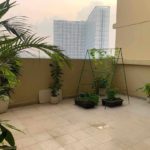 Bán căn hộ sân vườn chung cư Centum Wealth quận 9