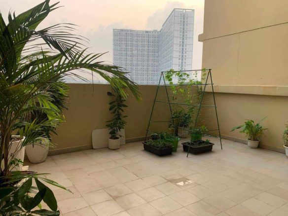 Bán căn hộ sân vườn chung cư Centum Wealth quận 9