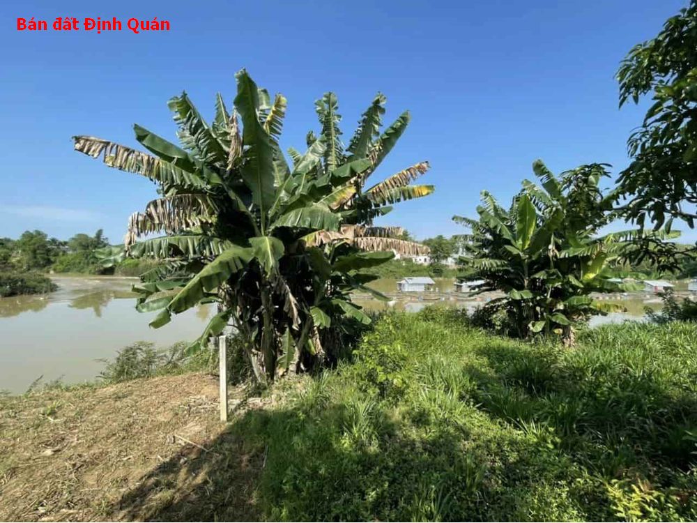 Bán đất Định Quán – đất vườn Ngọc Định Định Quán view sông
