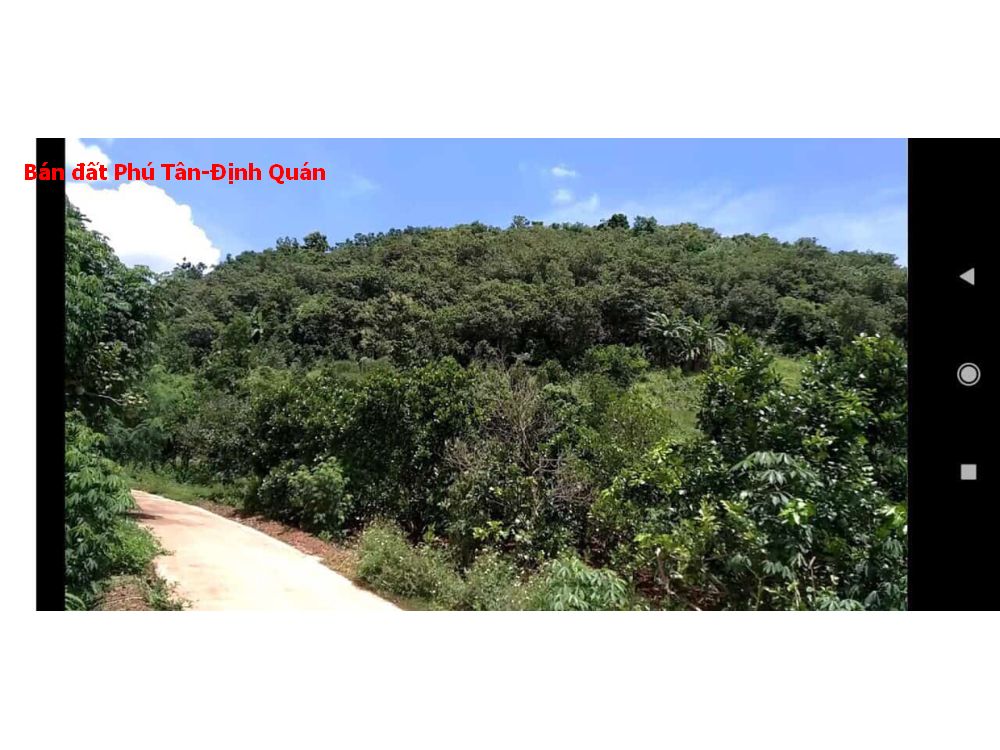 Chủ hạ giá 2 tỷ bán nhanh lô đất Phú Tân Định Quán diện tích 3ha