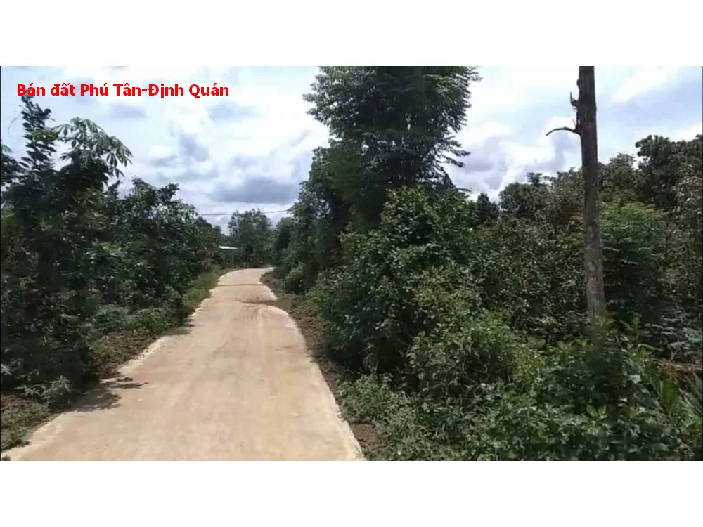 Chủ hạ giá 2 tỷ bán nhanh lô đất Phú Tân Định Quán diện tích 3ha