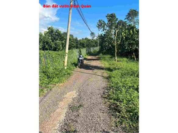 Bán đất vườn Định Quán – 1000m2 đất Phú Tân Định Quán giá chỉ 460tr
