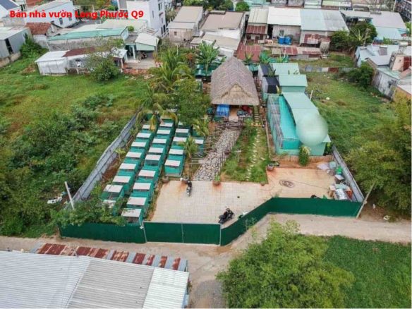 Bán nhà vườn Long Phước quận 9