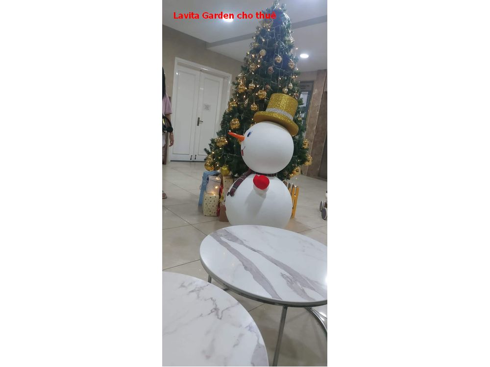 Cho thuê căn hộ Lavita Garden, phường Trường Thọ Thủ Đức
