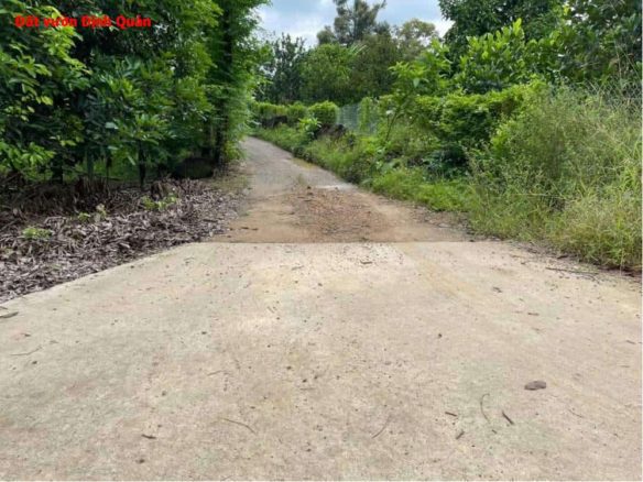 Bán đất vườn Phú Tân Định Quán- sẵn vườn cây ăn trái, giá chỉ 500tr