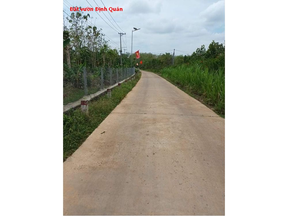 Bán đất vườn Định Quán, ngang gần 24m bám đường betoong, có thổ cư tiện xây nhà