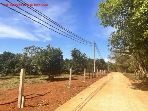 Bán đất vườn La Ngà Định Quán, giá siêu tốt chỉ 1,15 tỷ