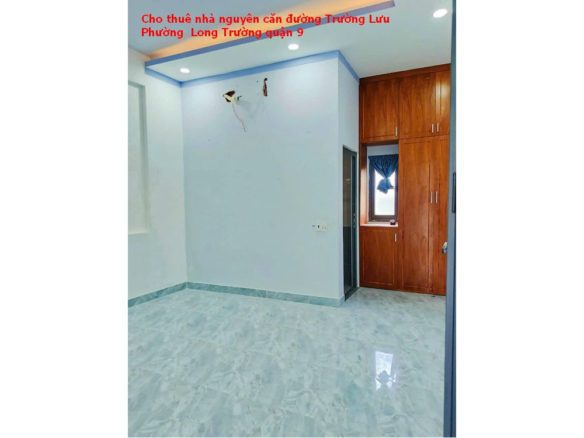 Cho thuê nhà nguyên căn 1 trệt 2 lầu đường Trường Lưu, p. Long Trường quận 9