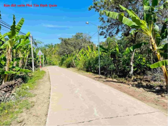 Bán đất vườn Phú Tân – Định Quán, hơn 1,1 ha giá chỉ 2,3 tỷ