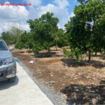 Đất vườn mít Cẩm Mỹ Đồng Nai bán gấp giá rẻ, chỉ 830tr/1000m2 có thổ cư
