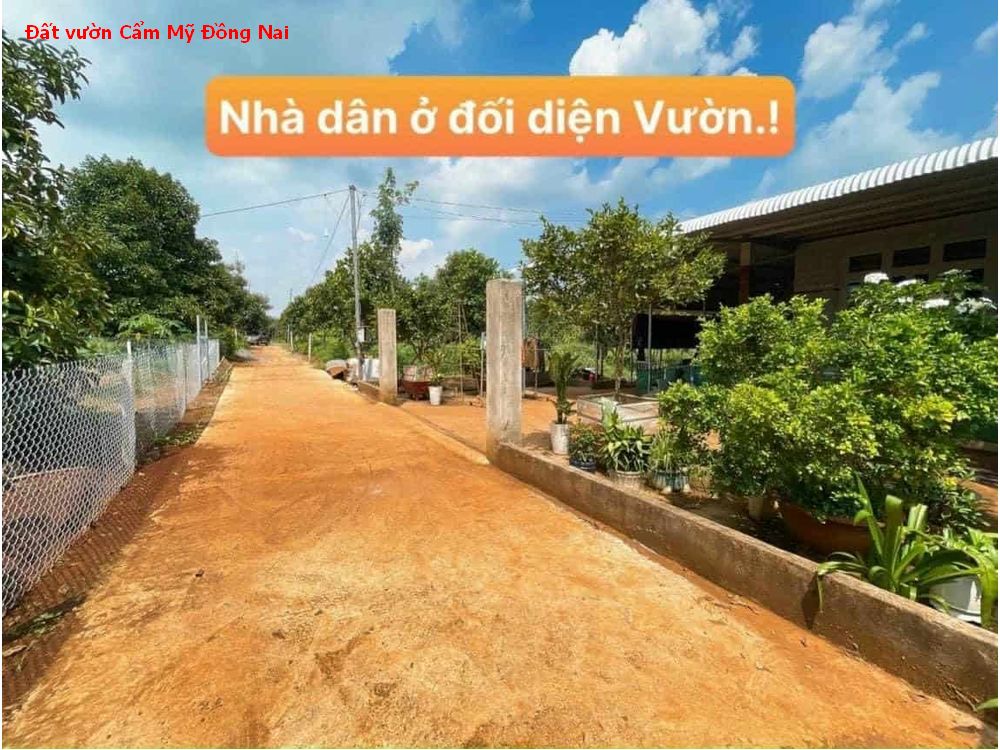 Đất vườn Cẩm Mỹ Đồng Nai giá siêu tốt, sẵn sầu riêng , măng cụt cho nguồn thu quanh năm