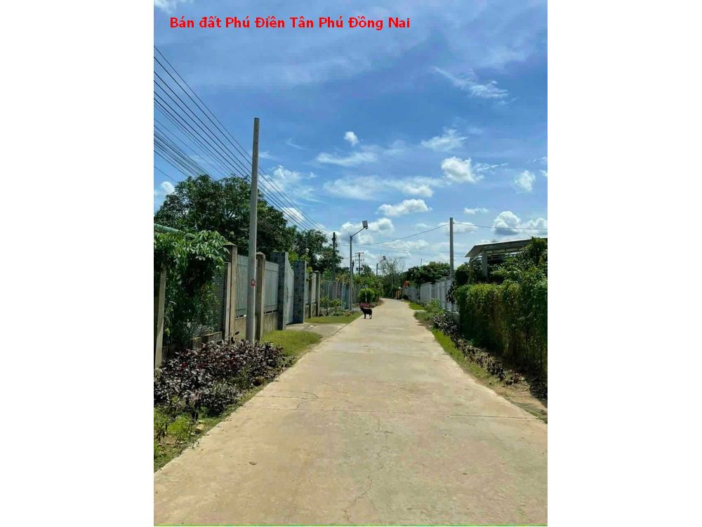 Bán đất Phú Điền tặng căn nhà cấp 4, lô góc 2 mặt tiền tiện phân lô