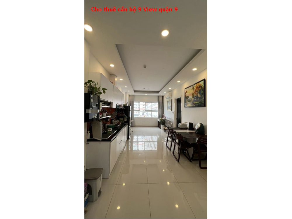 Cho thuê căn hộ 9 View ngay trường Cao Đẳng Công Thương quận 9