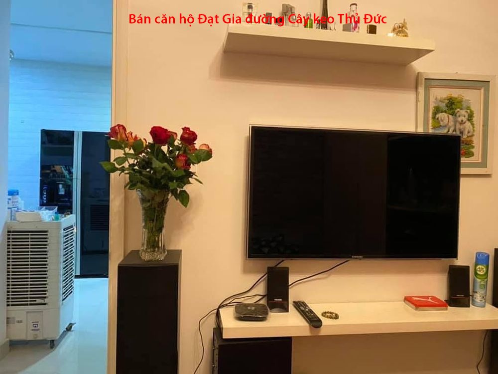 Bán căn hộ Đạt Gia đường Cây Keo, Tam Phú, Thủ Đức