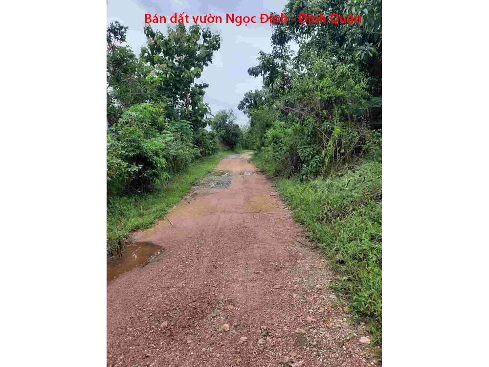Bán 2 lô đất vườn Ngọc Định Định Quán giá 550tr/1000m2