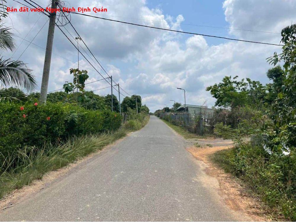 Bán lỗ đất vườn xoài xã Ngọc Định, đường nhựa cách quốc lộ 20 chỉ 2km