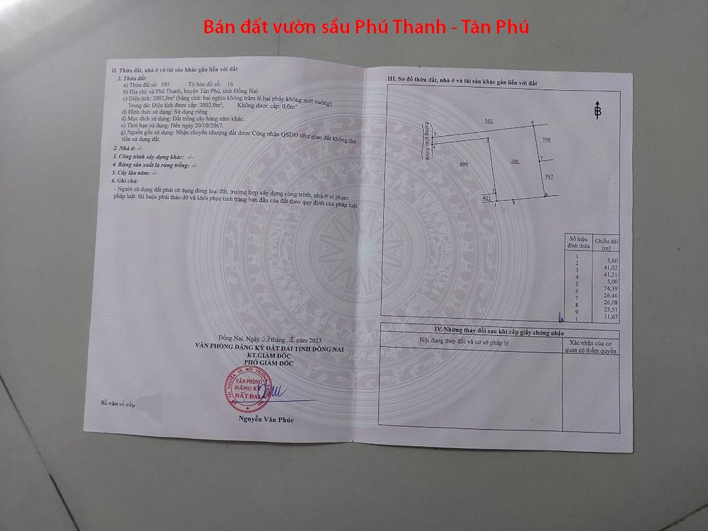 Bán vườn sầu riêng 8 năm tuổi ngay Phú Thanh, Tân Phú, Đồng Nai